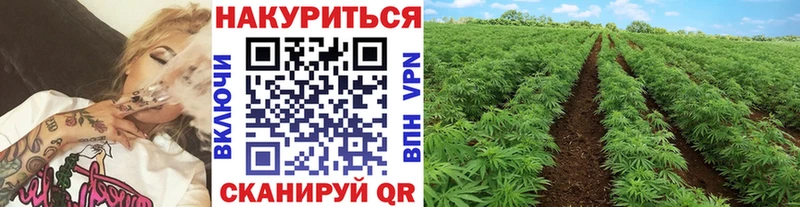 Купить наркоту Чернушка АМФЕТАМИН  Марихуана  МЕФ  Гашиш 
