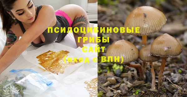 дмт Лихославль