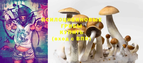 дмт Лихославль