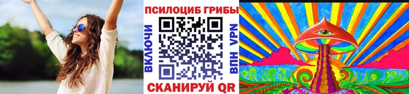 как найти закладки  Чернушка  Псилоцибиновые грибы Magic Shrooms 