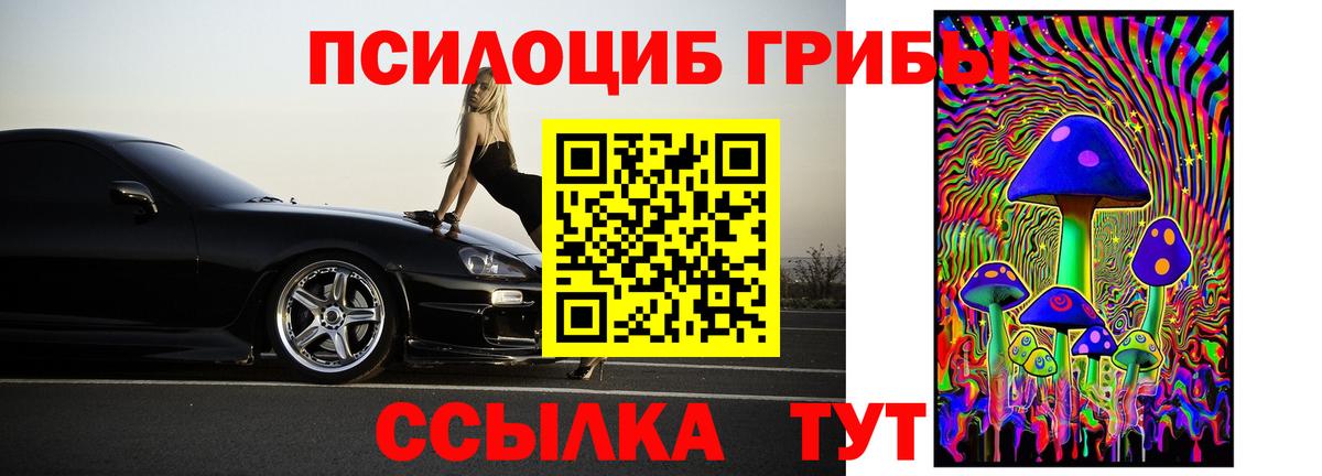 Галлюциногенные грибы Psilocybe  где купить   Чернушка 