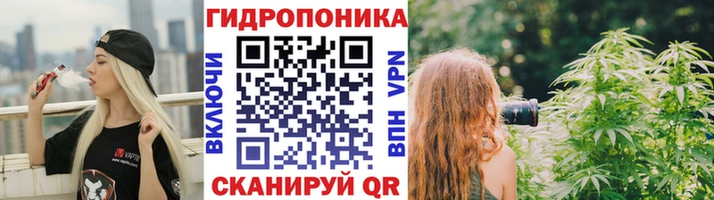 Бошки марихуана индика  Чернушка 